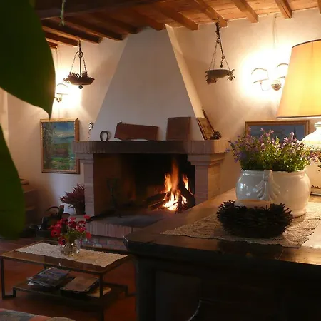 Cozy Cottage In Amelia With Pool Vakantiehuis